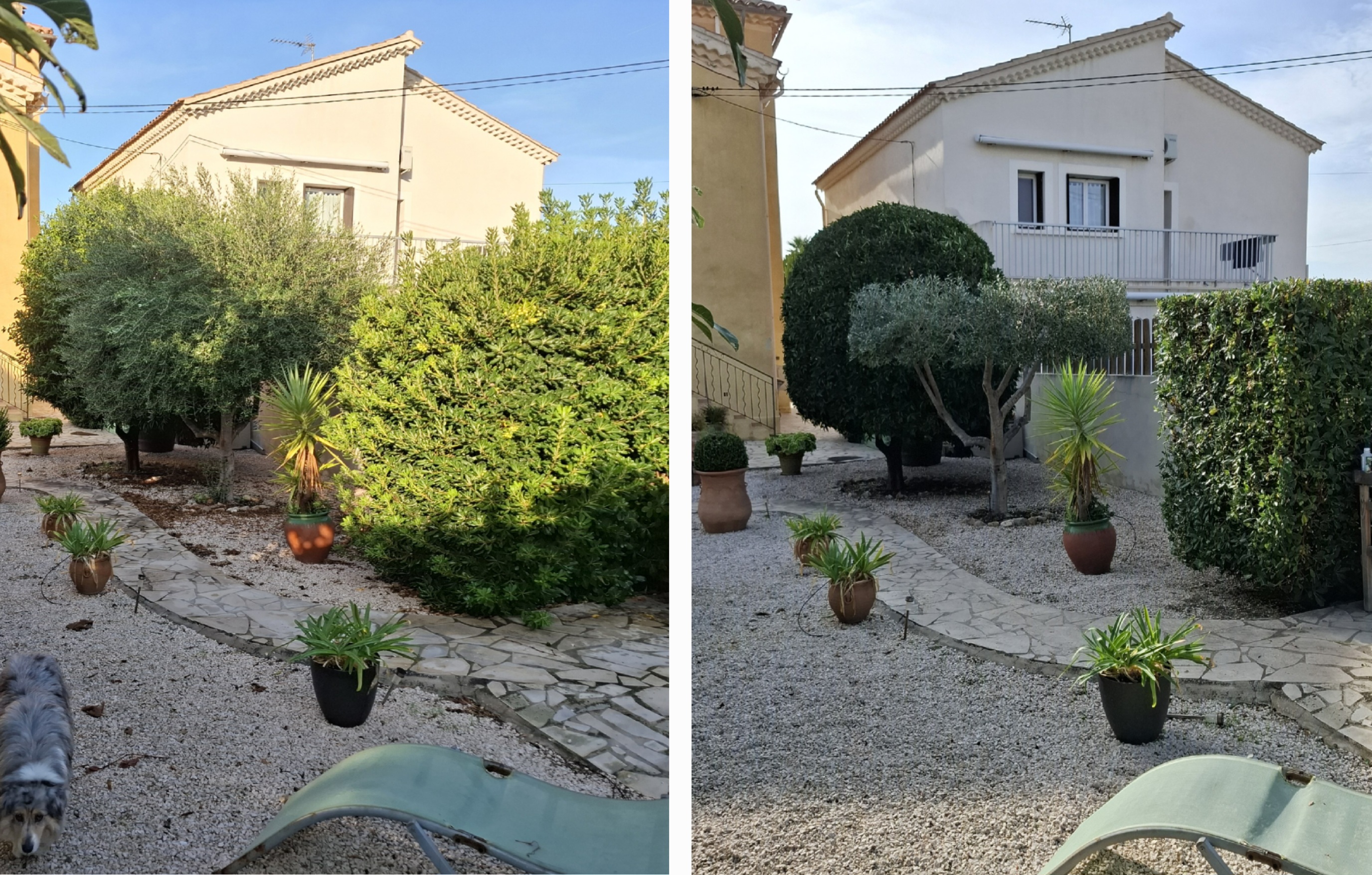 Entretien de jardin à Six-Fours-les-Plages