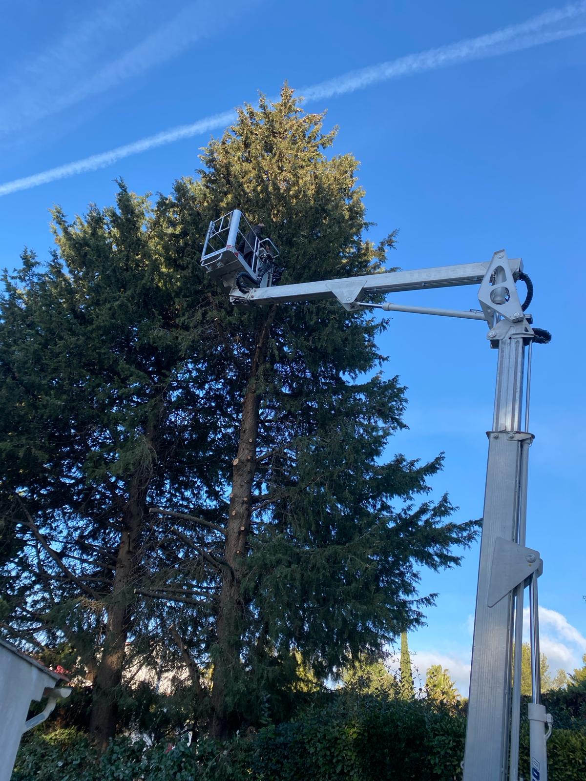 Les Jardins de Font Vert - Abattage d'arbres professionnels à Saint-Cyr-sur-Mer